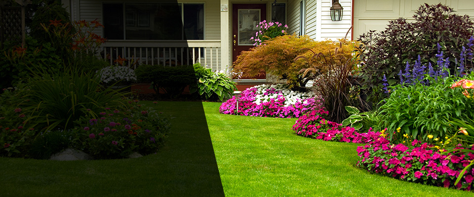 Pine City Landscapers