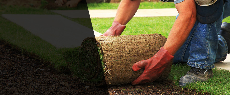 Pine City Landscapers